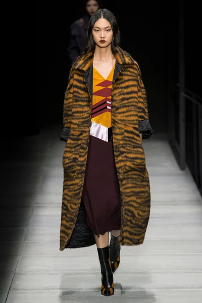 Look 6